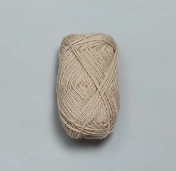 FIVEL_02025_Kasjmir_uten.jpg